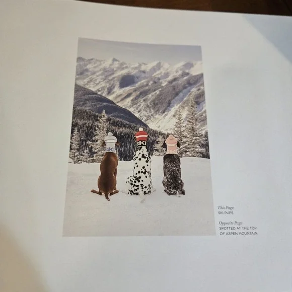 Gray Malin: Dogs: Photographs | EUC Coffee Table Book Canine Photography - Picture 9 of 12